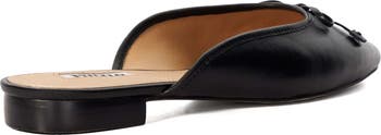 Haylas Mule