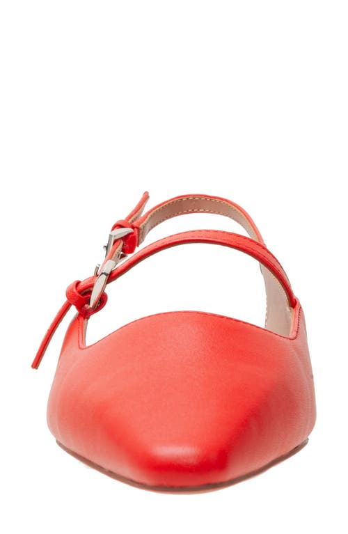 Linea Paolo Celeste Slingback Pointed Toe Flat In Red
