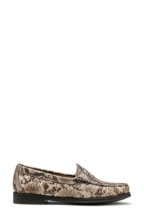 G.h.bass Whitney Easy Weejuns Loafers In Multi