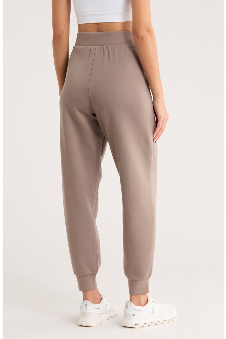 Scuba Knit Joggers, Alternate, color, DRIFTWOOD