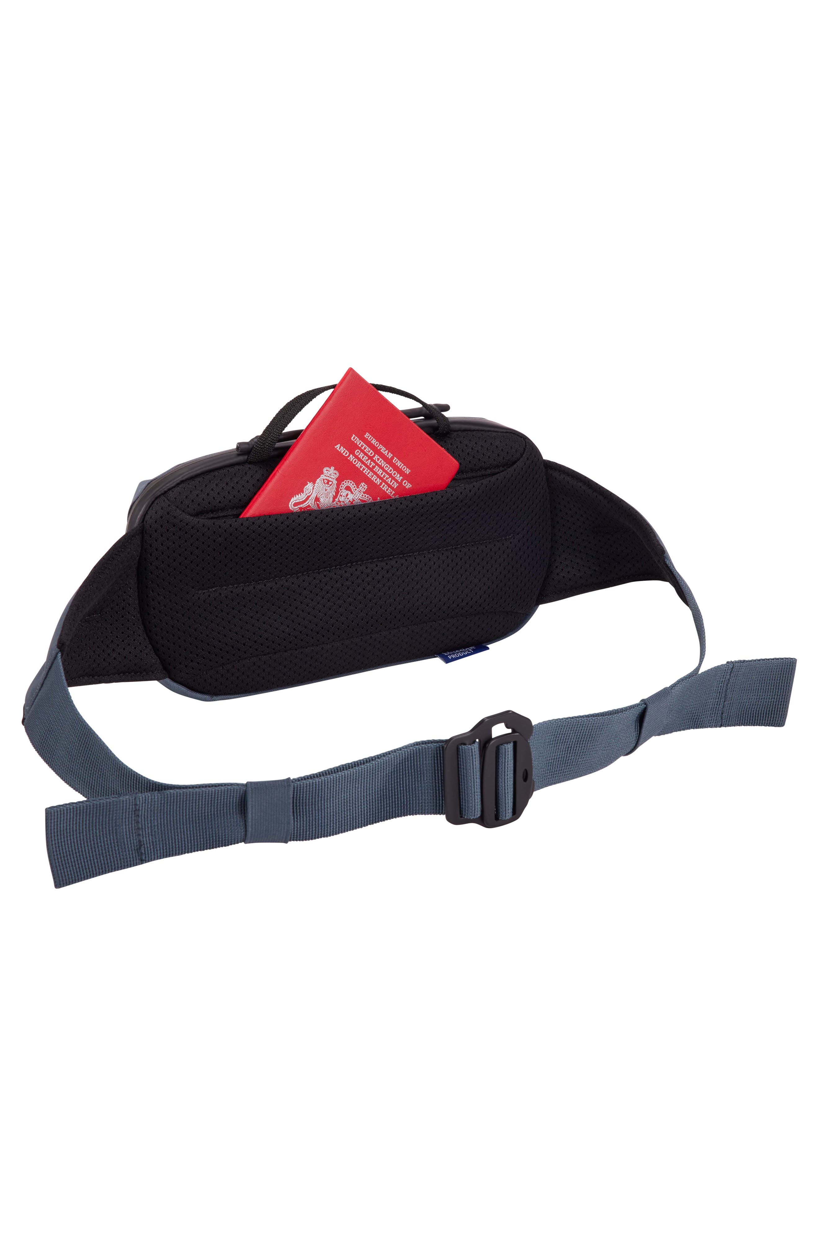 Thule Aion Recycled Polyester Canvas Belt Bag, Alternate, color, Dark Slate