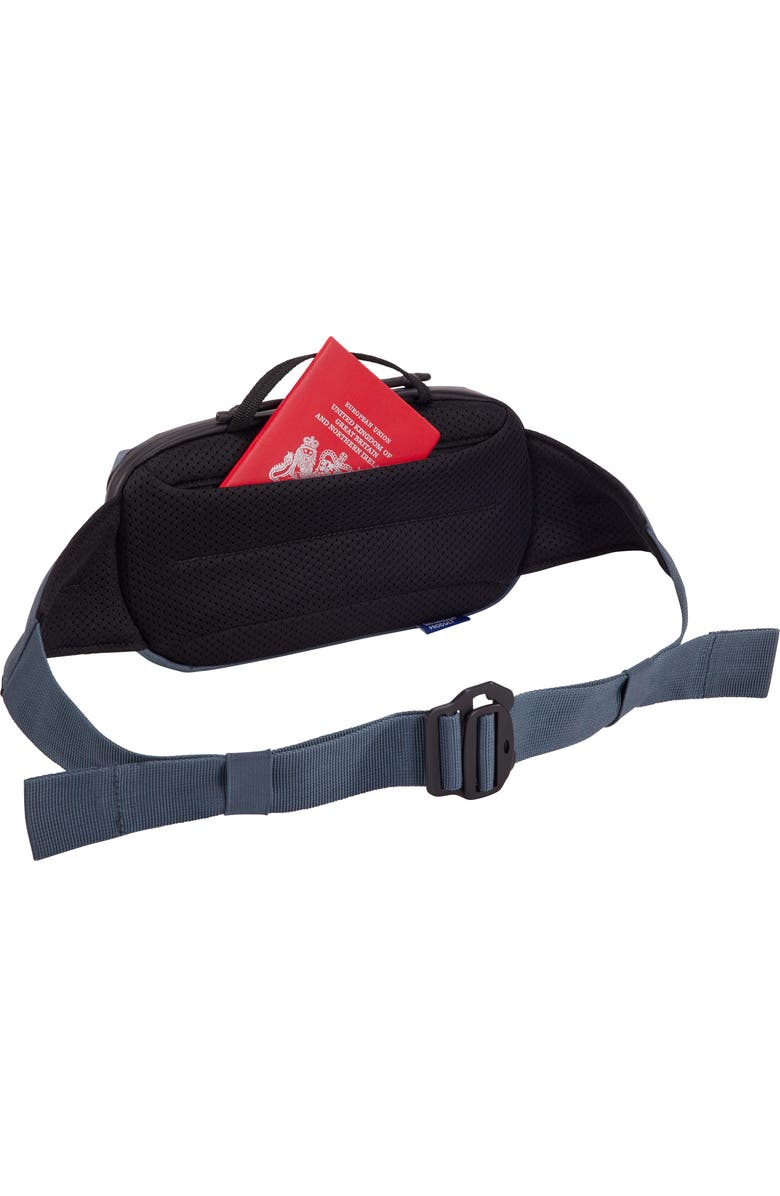 Thule Aion Recycled Polyester Canvas Belt Bag, Alternate, color, Dark Slate