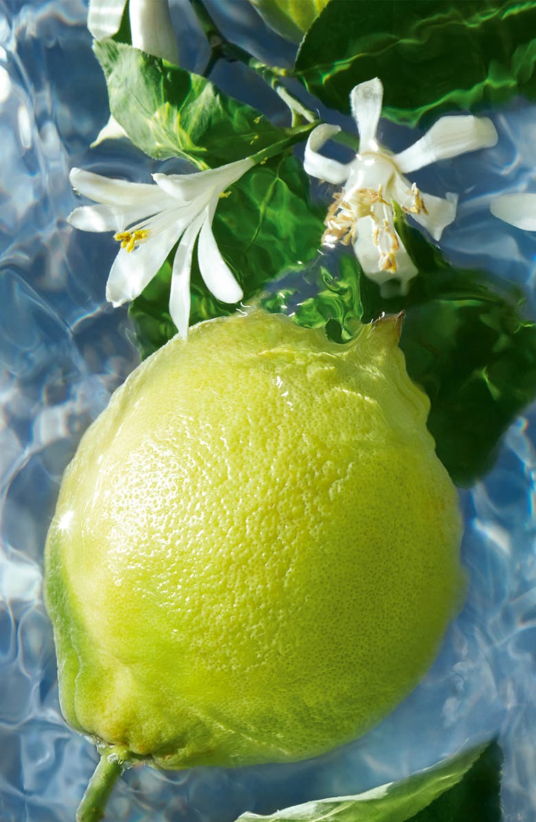 Guerlain Aqua Allegoria Bergamote Calabria Shower Gel, Alternate, color,