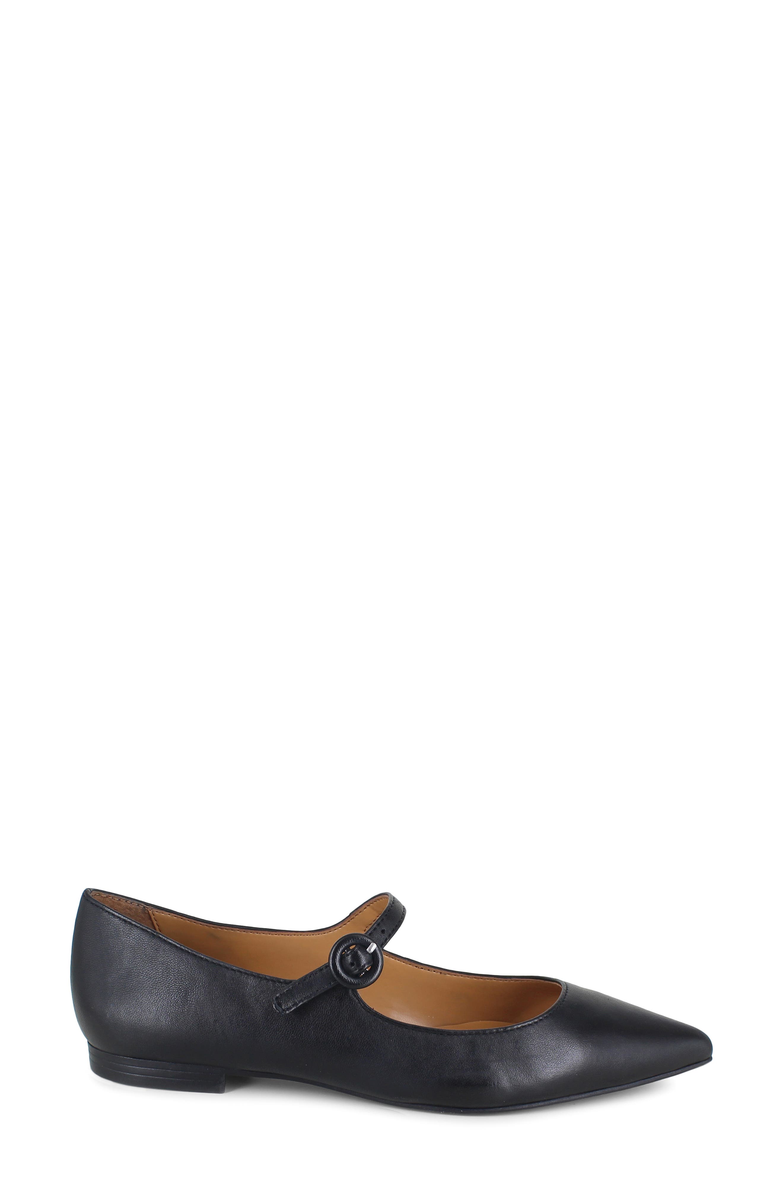 Mariana Pointed Toe Mary Jane Flat, Alternate, color, BLACK