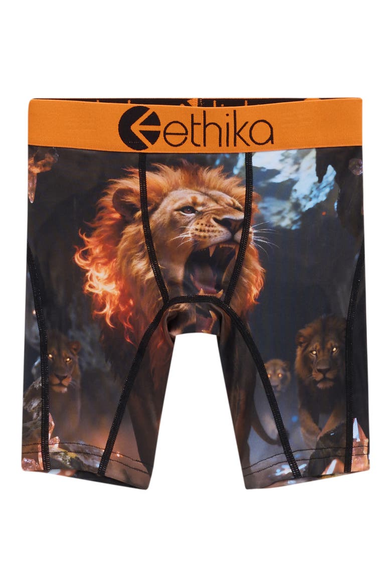Kids' The Pack Boxer Briefs, Main, color, ASSORTED