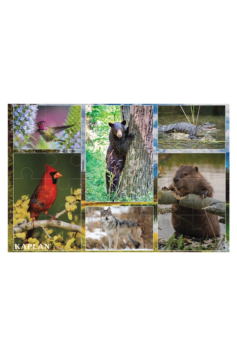 Wild and North American Animals Floor Puzzles - Set of 2, Alternate, color, Multicolor