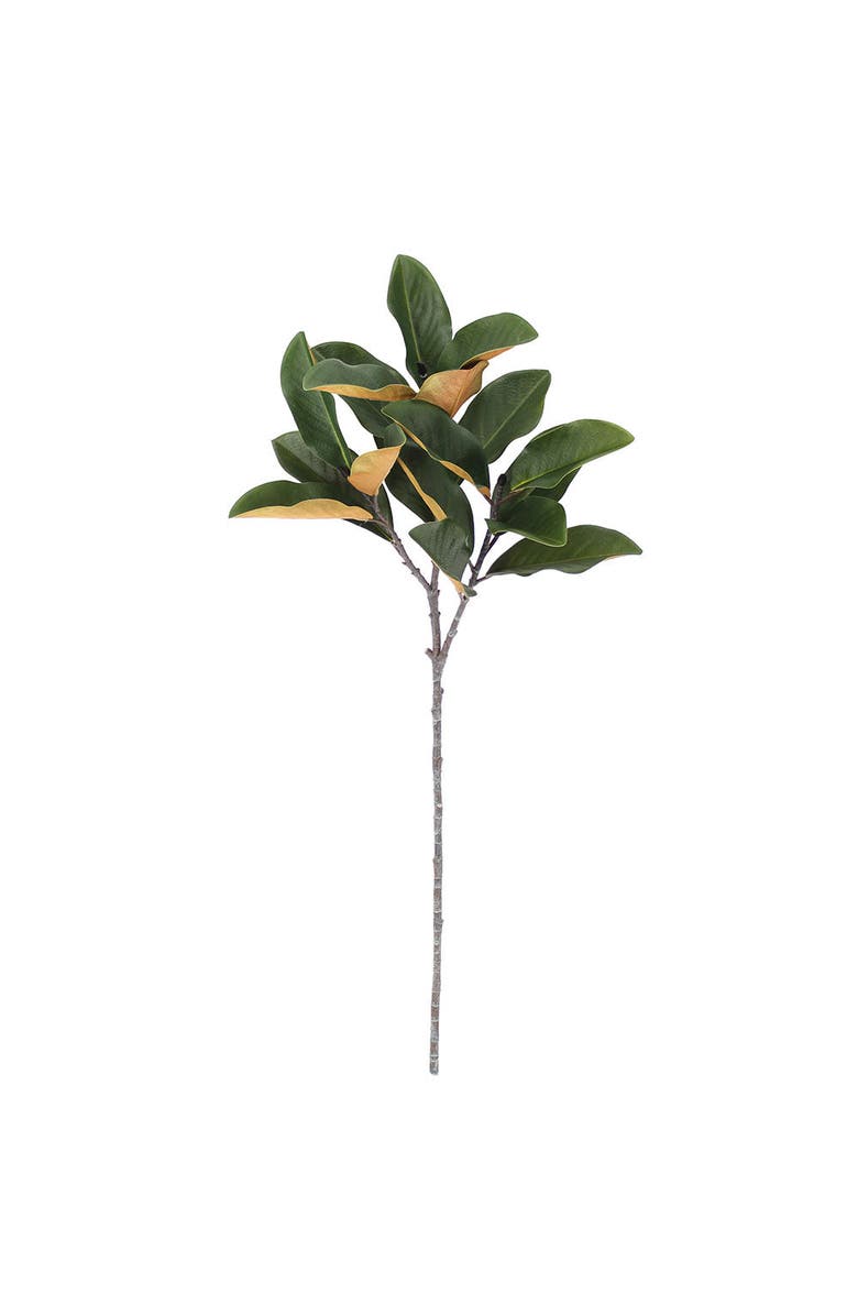 CG Hunter 36 inch Faux Green Magnolia Leaf Stem, Main, color, Green