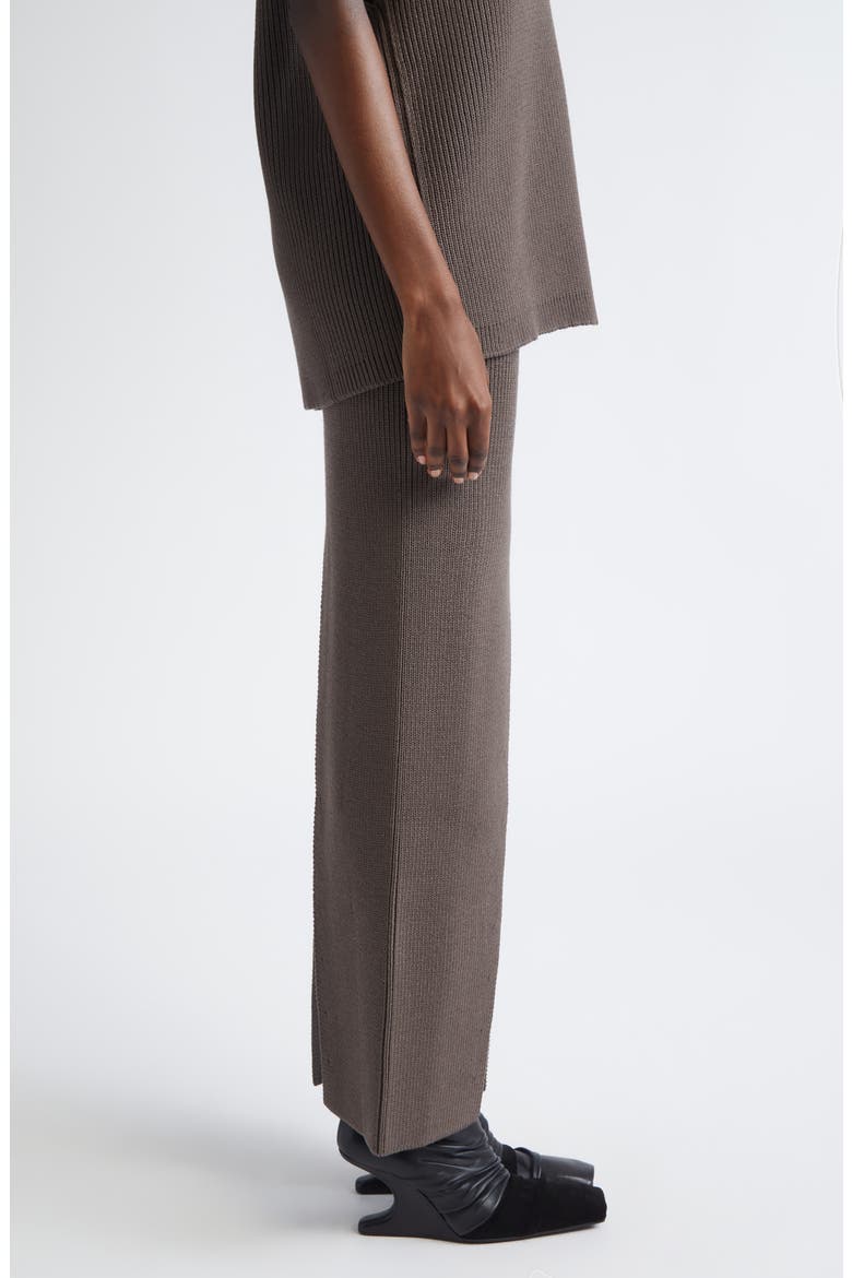 Concordian Sliced Wool Knit Skirt, Alternate, color, DARKDUST