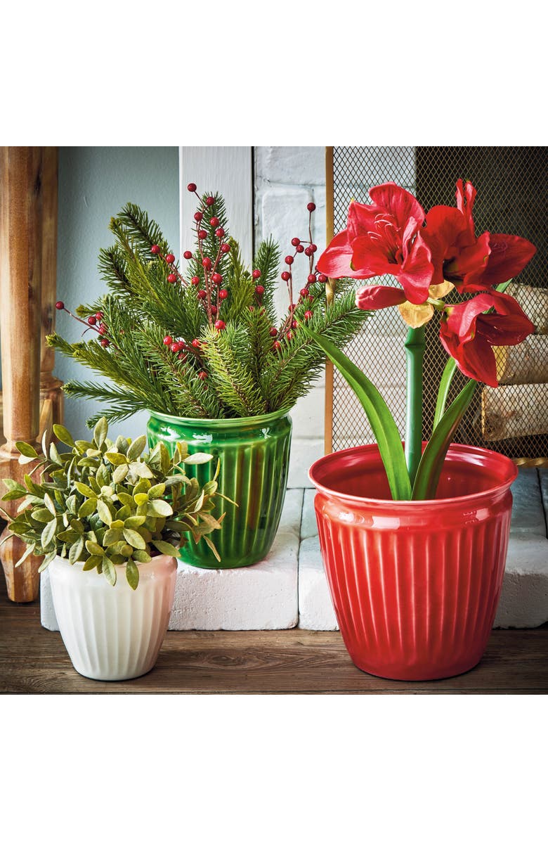 tag Merry Enamel Planter Multicolor Iron Garden Pot for Christmas, Alternate, color, Multicolored