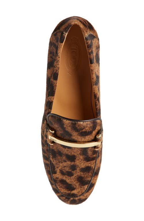 Tod's Barretta Genuine Calf Hair Loafer
