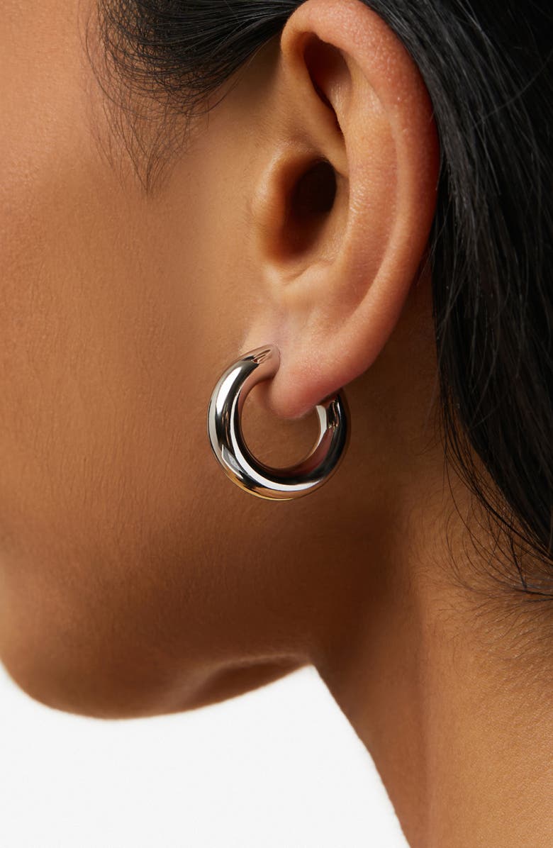 Ana Luisa Hoop Earrings - Tia Mini, Alternate, color,