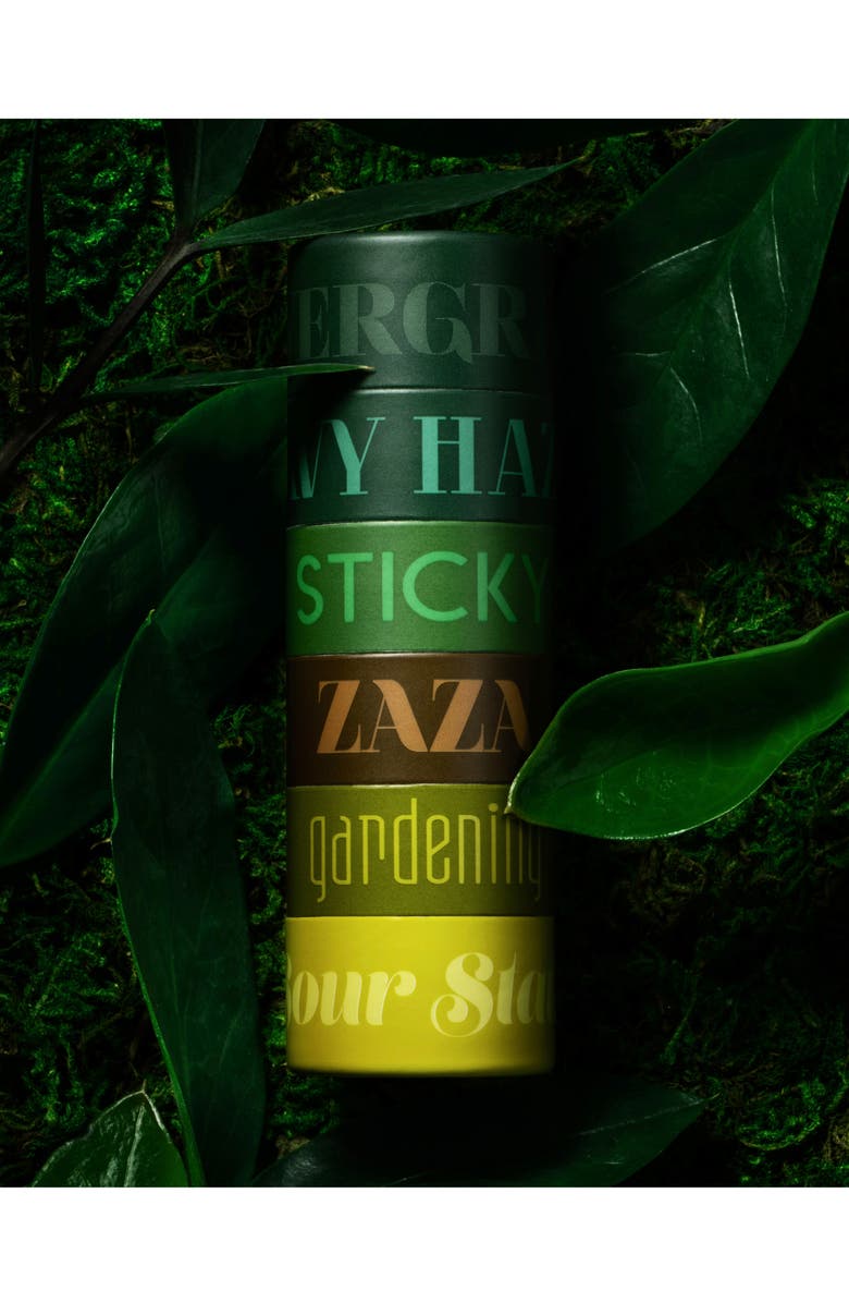 Melt Cosmetics Petite Eyeshadow Stack, Alternate, color, Evergreens