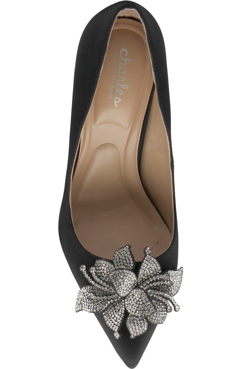 Charles by Charles David Rahm Pointed Toe Pump, Alternate, color, Black