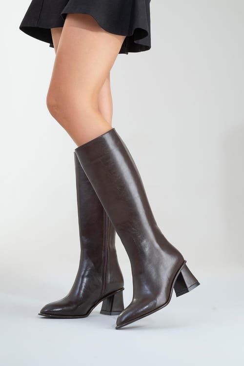 Prologue Shoes Paradis Block Heel Knee High Boot In Brown