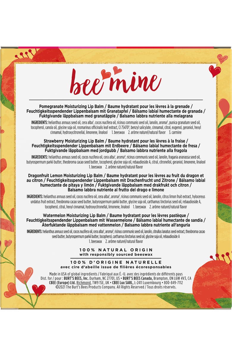 Burt's Bees 4-Piece Bee Mine Chapstick Gift Set, Alternate, color,