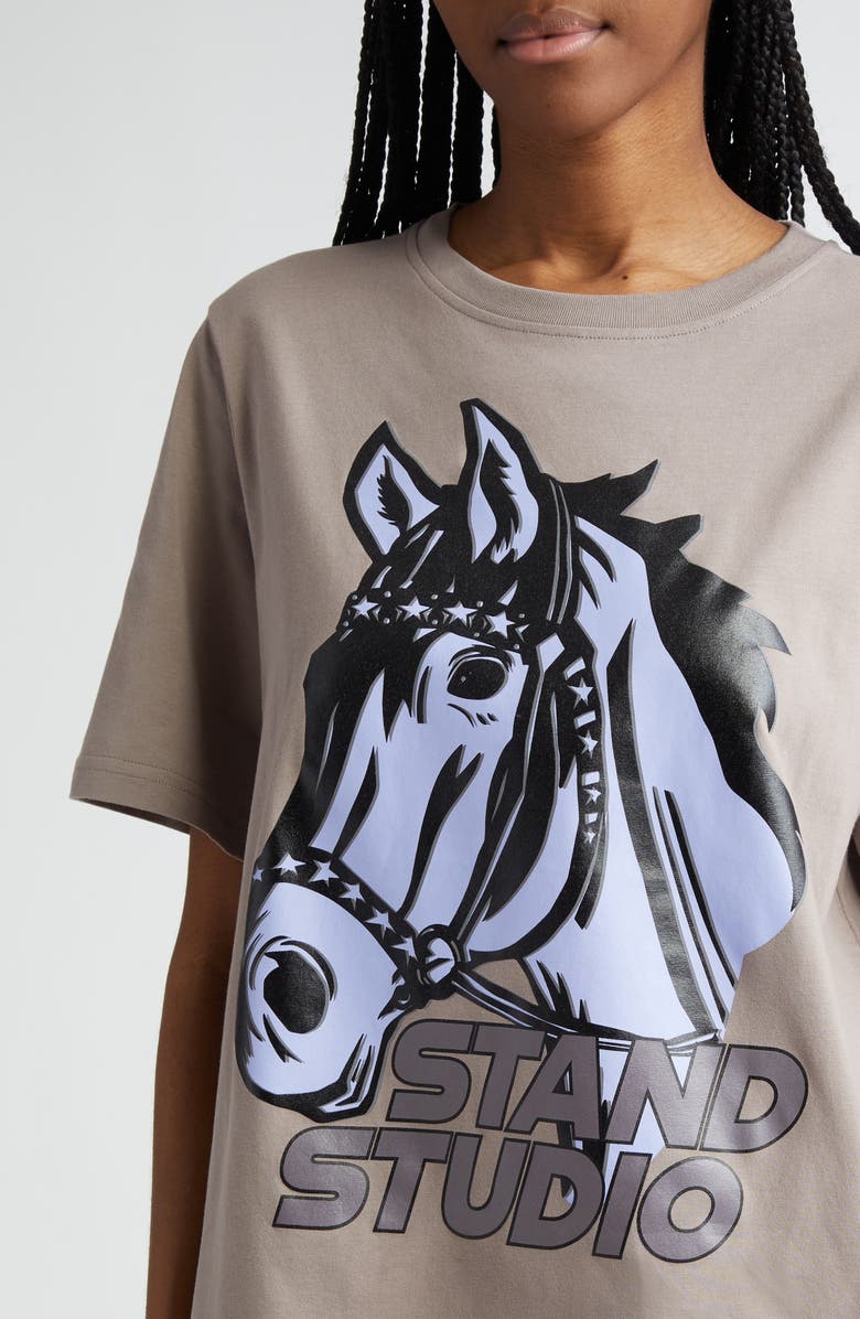 Stand Studio Hallie Organic Cotton Oversize Graphic T-Shirt, Alternate, color,