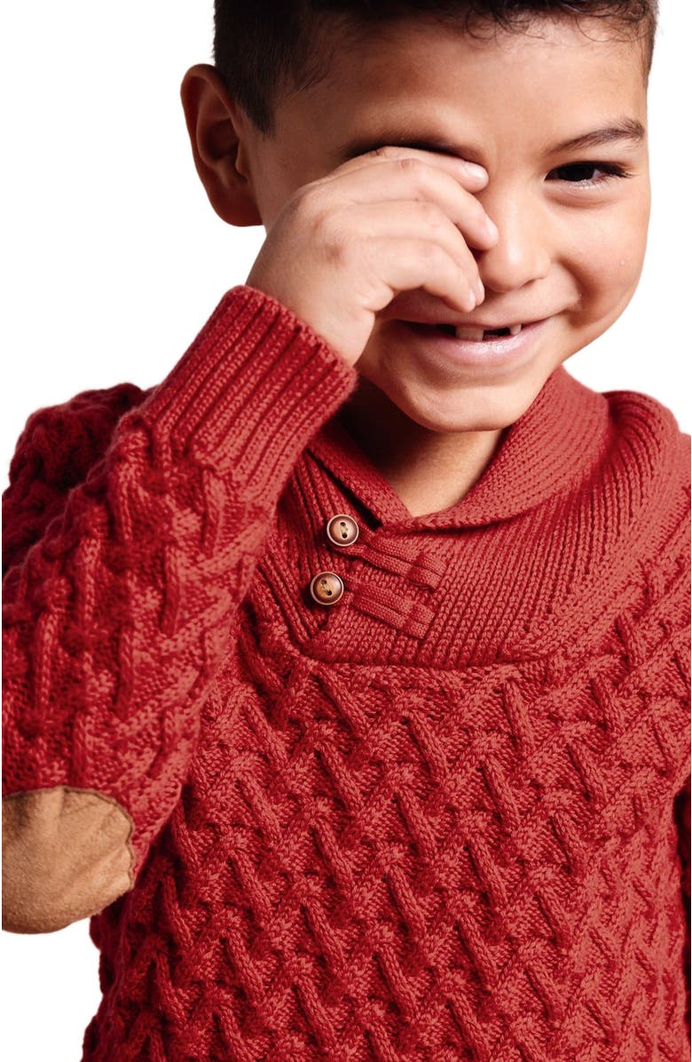 Hope & Henry Baby Boys' Organic Shawl Collar Cable Sweater, Infant, Alternate, color, 