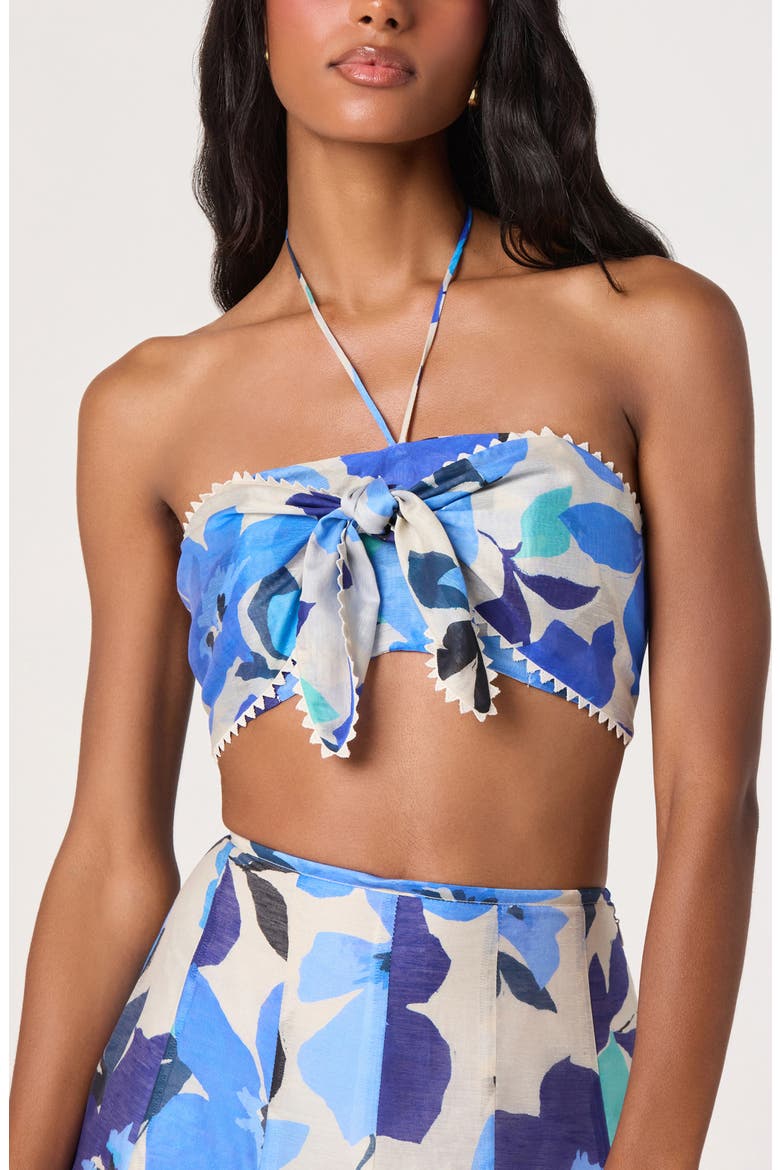 Kehlani Floral Crop Halter Top, Alternate, color, BLUE FLORAL