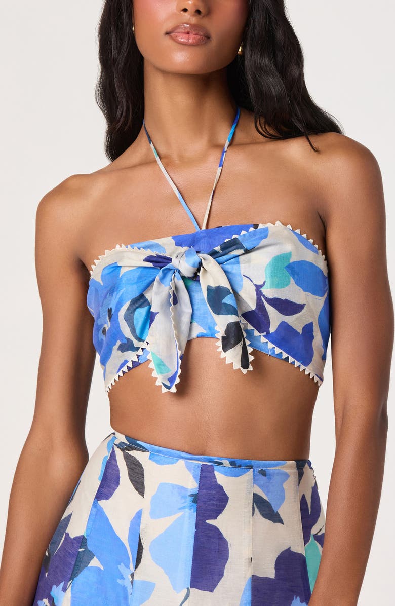 ASTR the Label Kehlani Floral Crop Halter Top, Alternate, color, Blue Floral