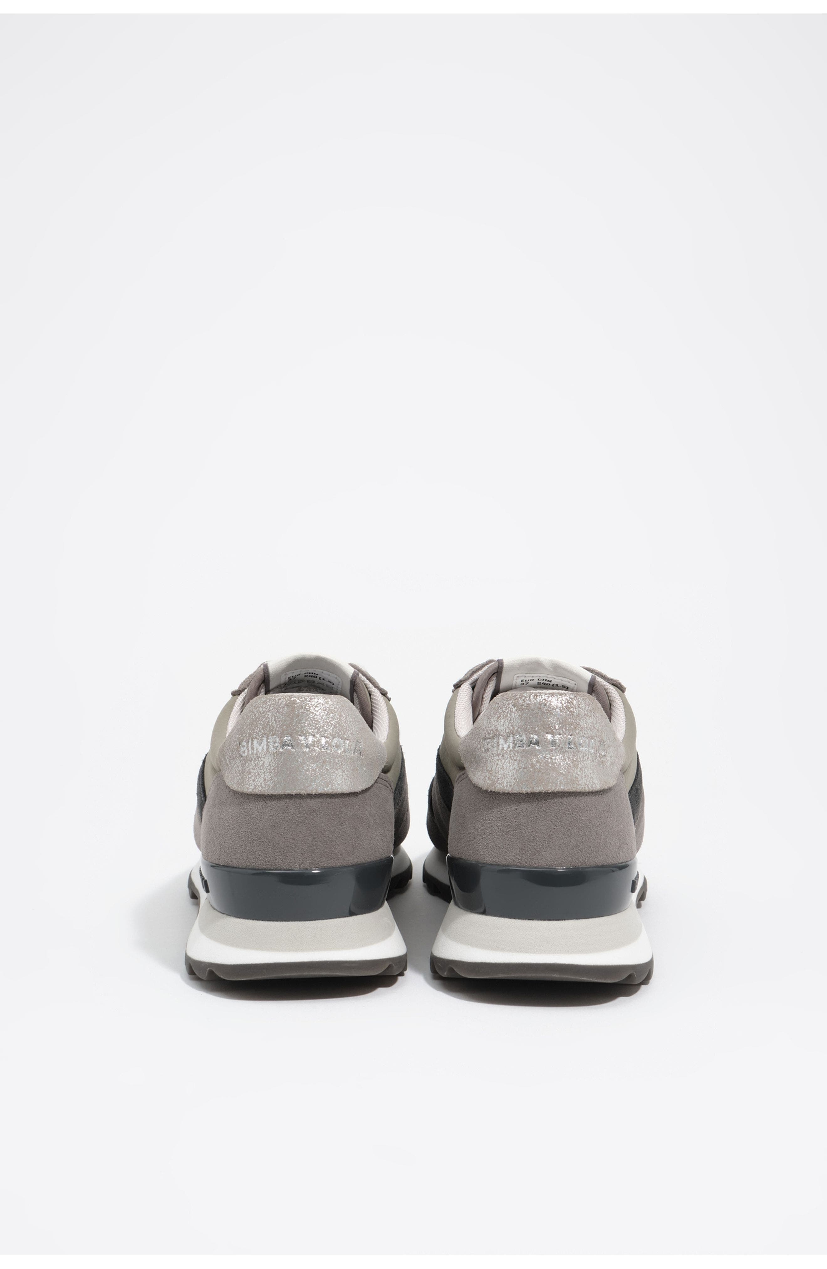 13 19 technical trainer, Alternate, color, GREY