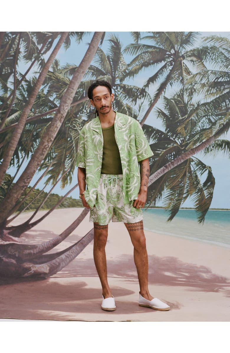 Tombolo Palm Fronds, Alternate, color, Green