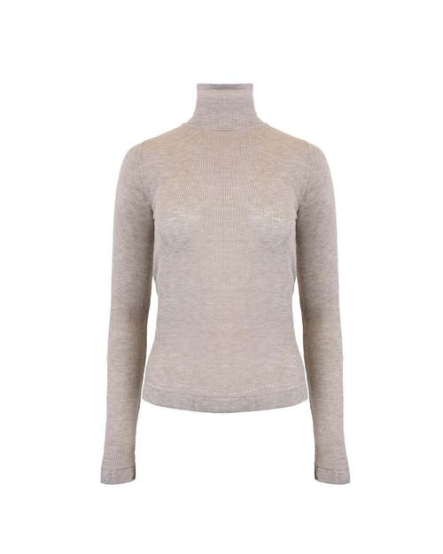 Theo The Label Nomia Sheer Knit Turtleneck In Gray