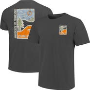 IMAGE ONE Men's  Graphite Tennessee Volunteers Comfort Colors Minimal Vista Distressed Graphics T-Shirt