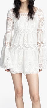 Anna Sui Cottage Rose Lace Mini Dress