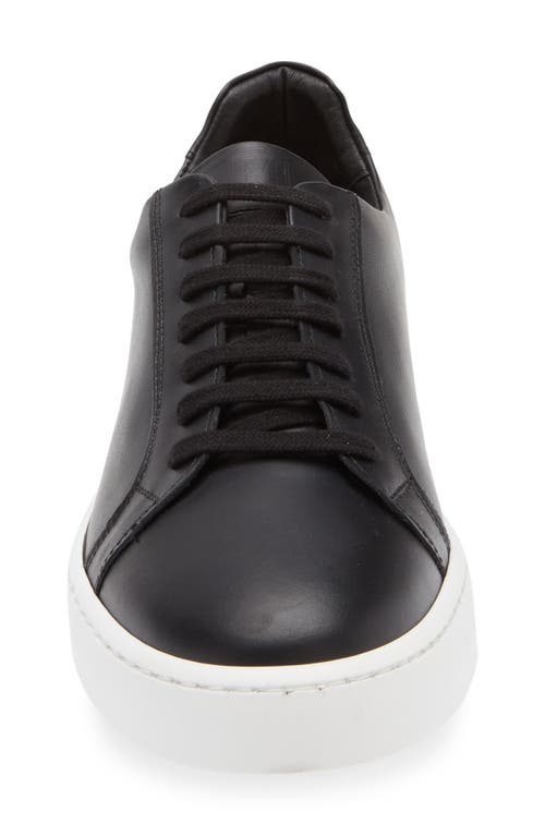 Bruno Magli Magnifico Low Top Sneaker In Black