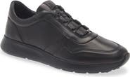 Tod's Leather Sneaker