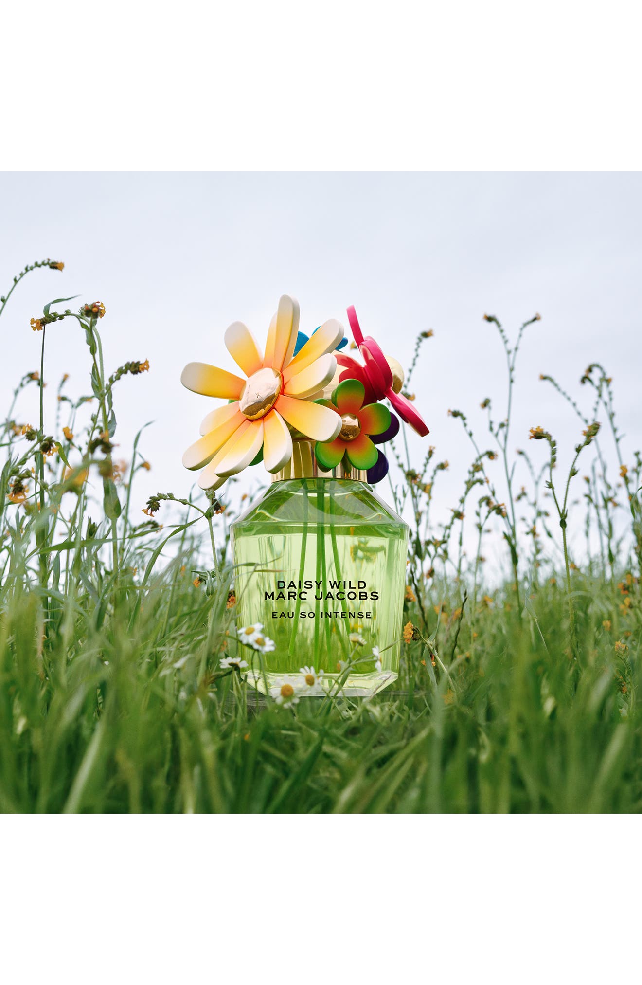 Daisy Wild Eau So Intense Eau de Parfum (Women) | Nordstrom