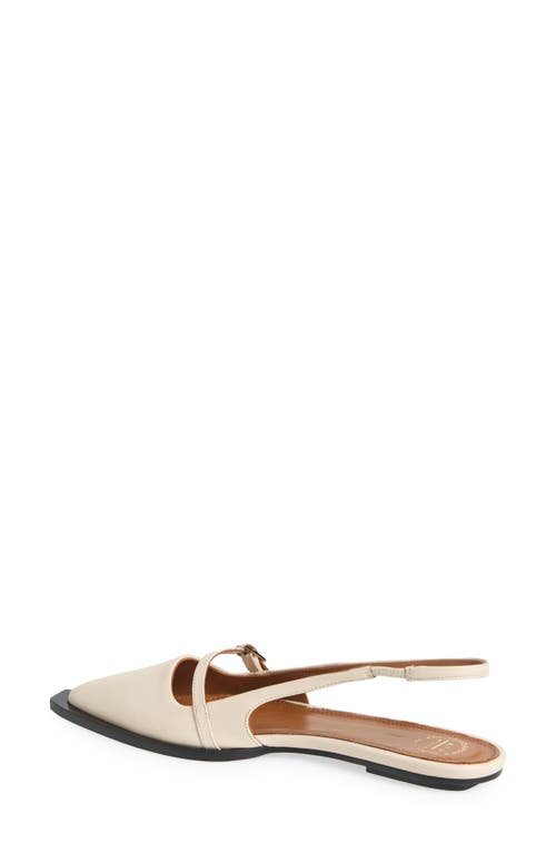 Atp Atelier Cortina Slingback Pointed Toe Flat In Linen