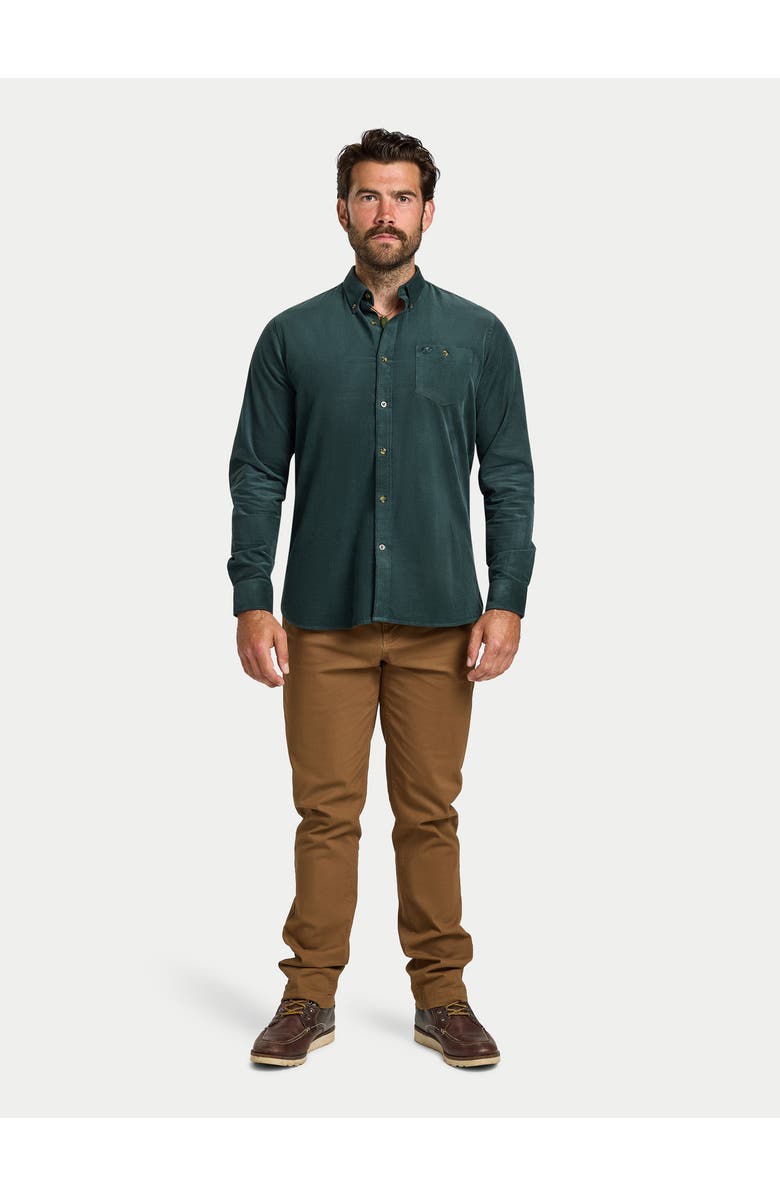 Raging Bull Long Sleeve Soft Needle Corduroy Shirt, Alternate, color, Forest