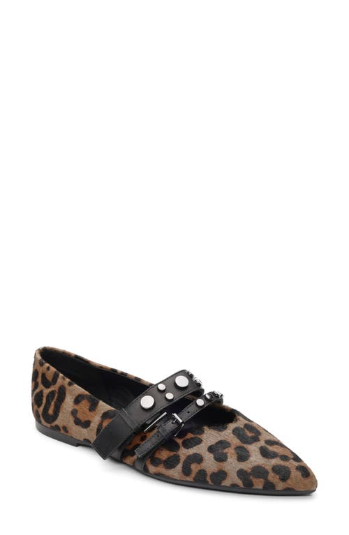Ash Britnie Pointed Toe Flat In Brown