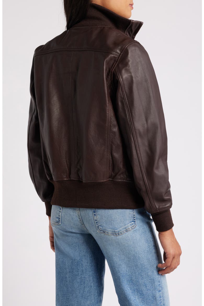Leather Flight Jacket, Alternate, color, BROWN