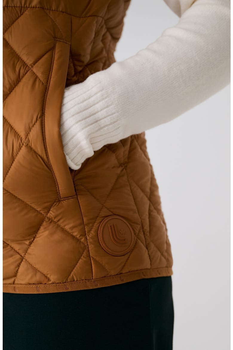 The Base Water Repellent Insulated Hooded Vest, Alternate, color, GINGER