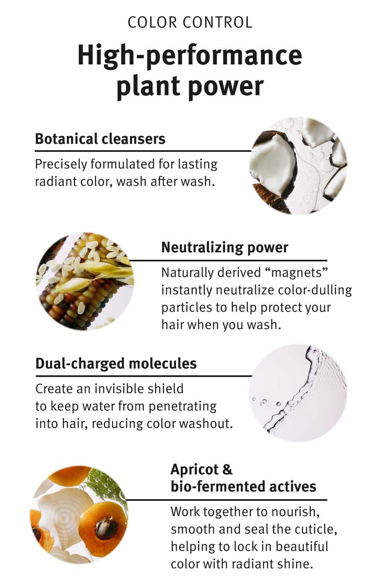 Aveda Color Control Rich Shampoo, Alternate, color, 