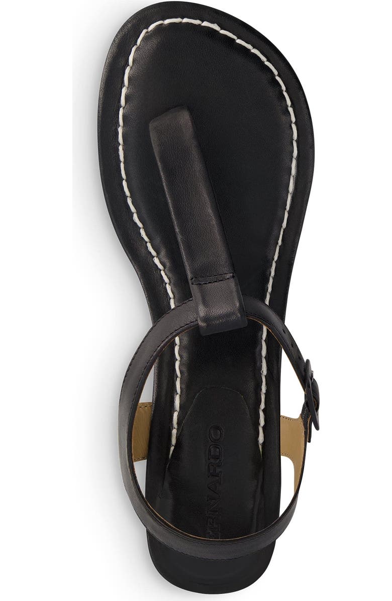 Bernardo Footwear Goya T-Strap Sandal, Alternate, color,