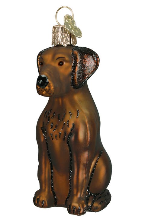 Chocolate Labrador Glass Ornament