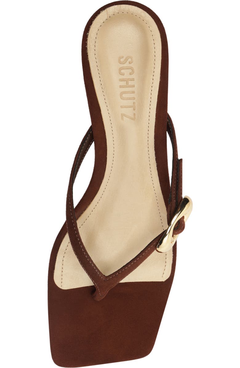 Schutz Miriam Slide Sandal, Alternate, color, Chestnut Brown