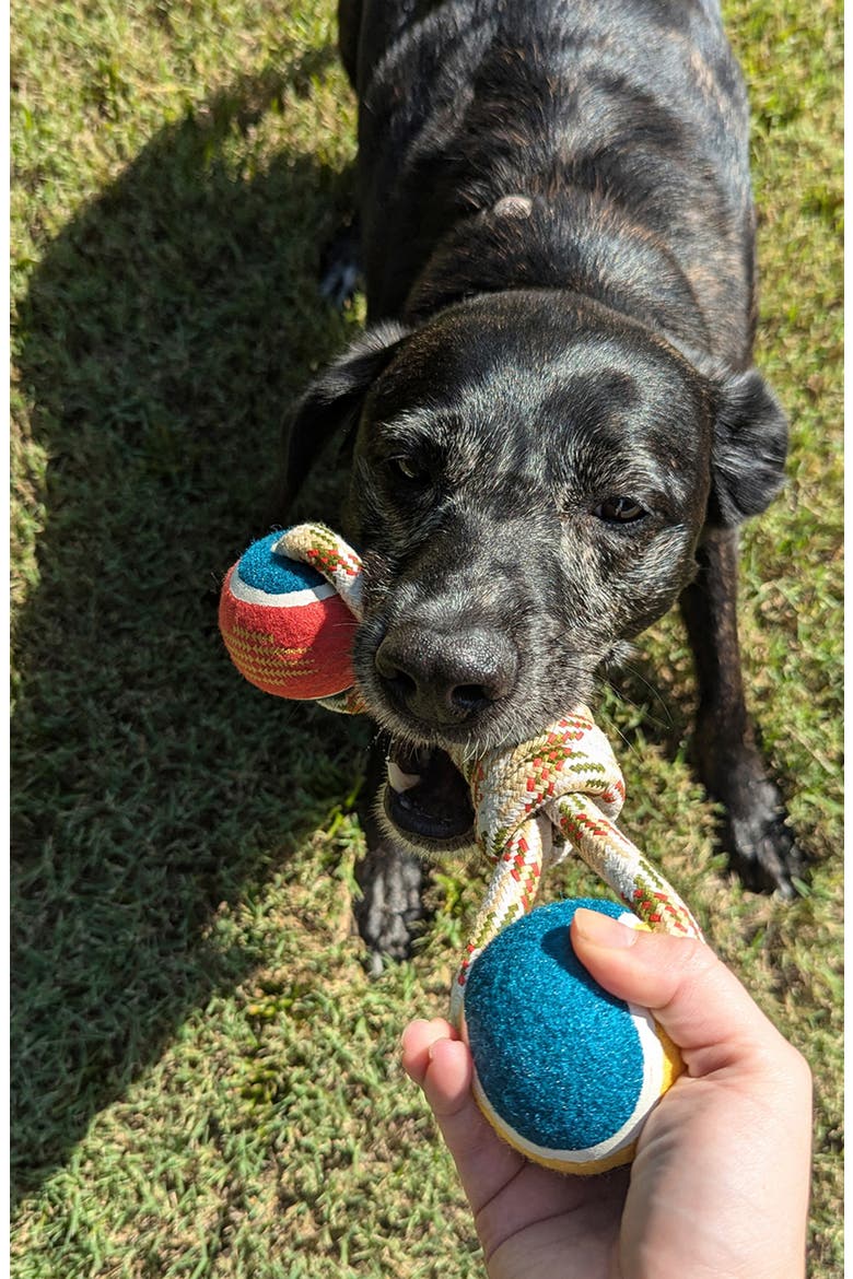 Lasso Rope Dog Toy, Alternate, color, BEIGE