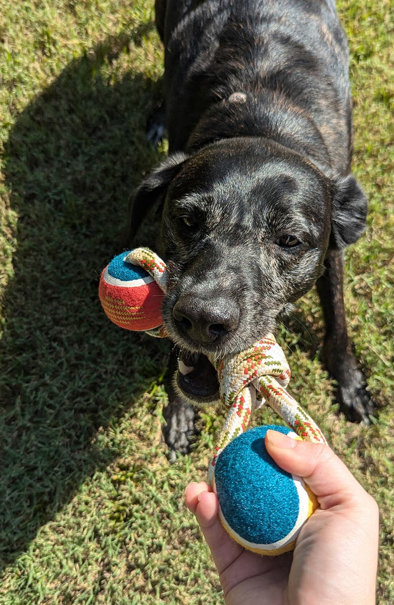 Pendleton Lasso Rope Dog Toy, Alternate, color, Beige