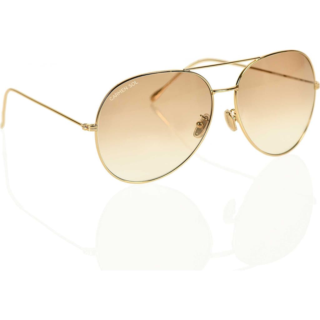 Carmen Sol Tonino Sun Sunglasses In Brown