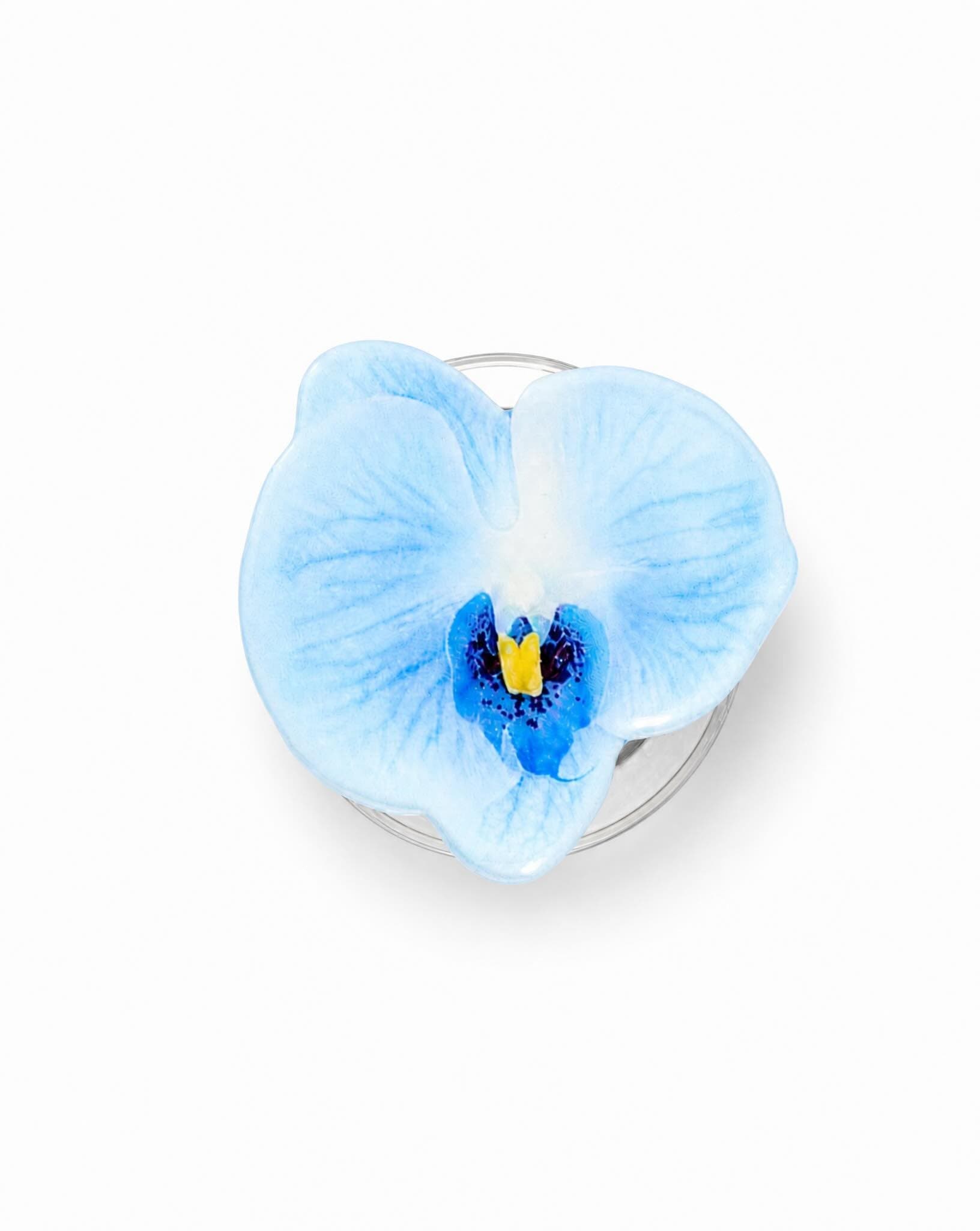 Blue Orchid