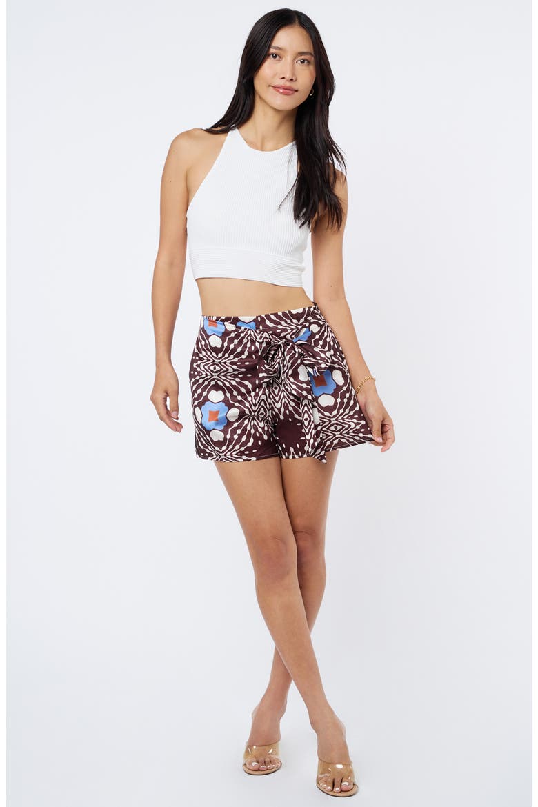 Logan Print Tie Waist Shorts, Alternate, color, BROWN MULTI