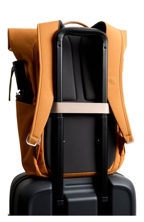 Bellroy Classic Roll Top Water Resistant 16l Backpack In Orange