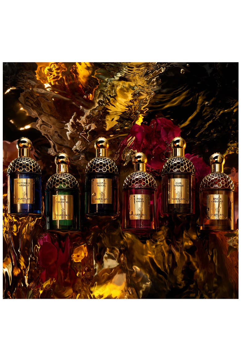 Absolus Allegoria Santal Royal Eau de Parfum, Alternate, color, NO COLOR