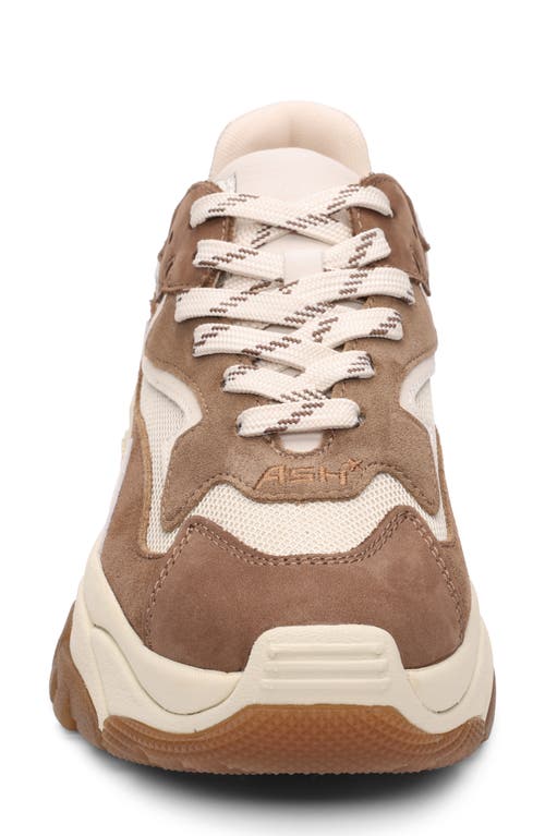 Ash Addict Sneakers In Taupe Suede And Fabric In Brown