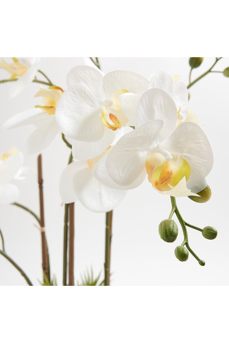 Artificial Orchid with Succulents, Alternate, color, White, green, grey