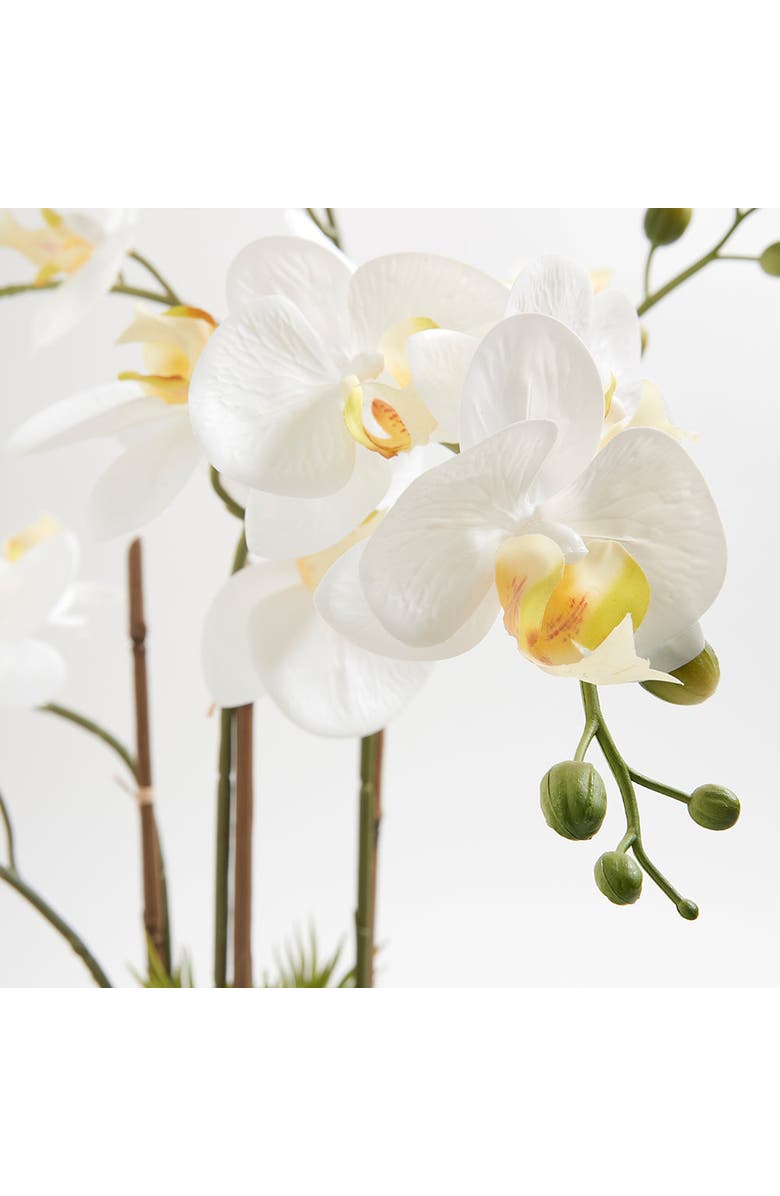 CG Hunter Artificial Orchid with Succulents, Alternate, color, White, Green, Grey